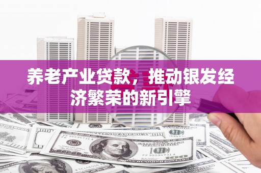 应城养老产业贷款，推动银发经济繁荣的新引擎
