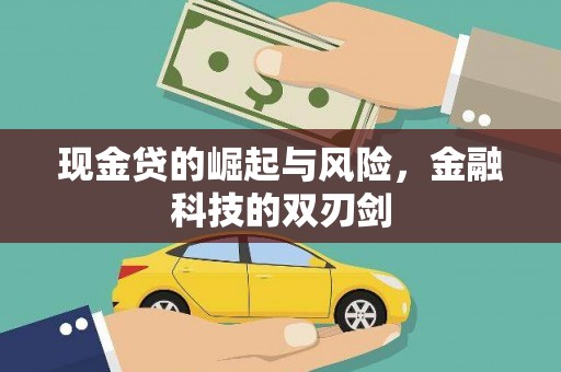 中西现金贷的崛起与风险，金融科技的双刃剑