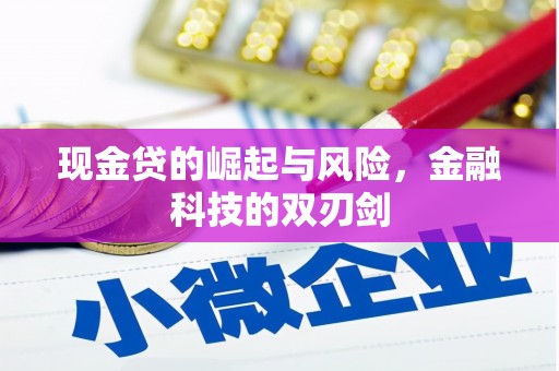岑巩现金贷的崛起与风险，金融科技的双刃剑