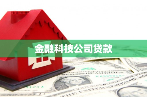 丰都金融科技公司贷款