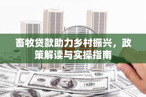 天山畜牧贷款助力乡村振兴，政策解读与实操指南
