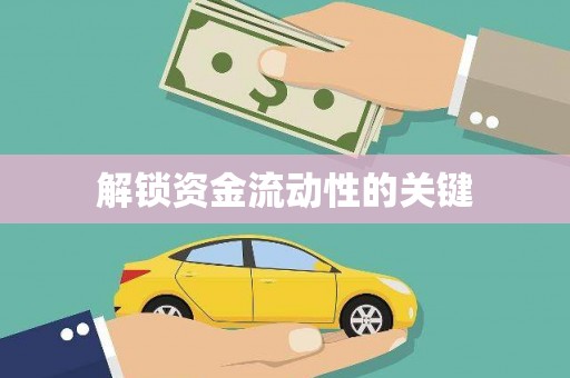 望安解锁资金流动性的关键