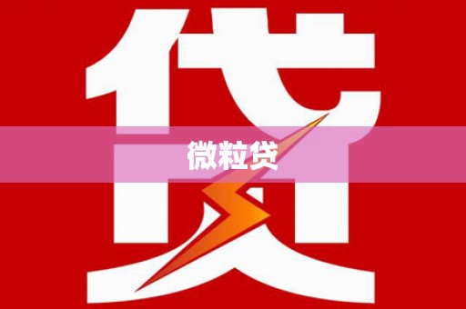 王益微粒贷