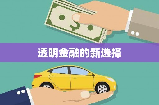 滨州透明金融的新选择