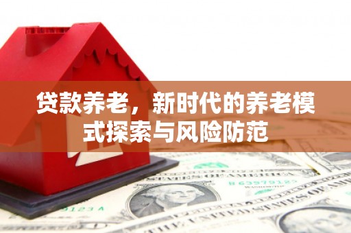 林州贷款养老，新时代的养老模式探索与风险防范