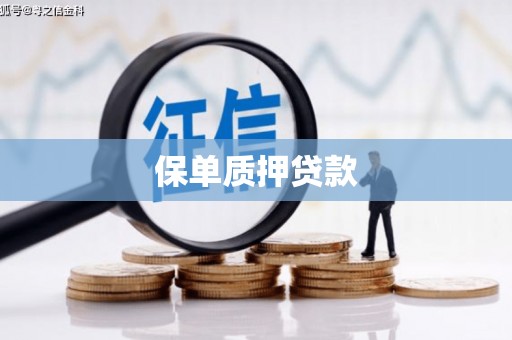 岱山保单质押贷款