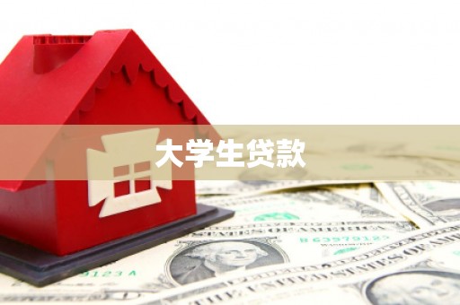 隆子大学生贷款