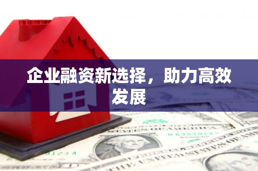漯河企业融资新选择，助力高效发展