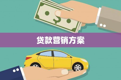 田林贷款营销方案